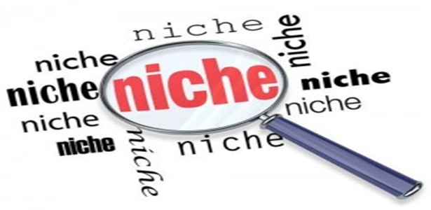 How To Build a Niche Website